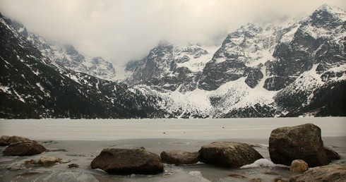 W Tatrach sensacja przyrodnicza