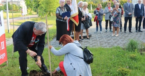 Dąb pamięci Lecha Kaczyńskiego