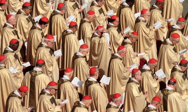 Nowi kardynałowie: ekologiczni i misyjni