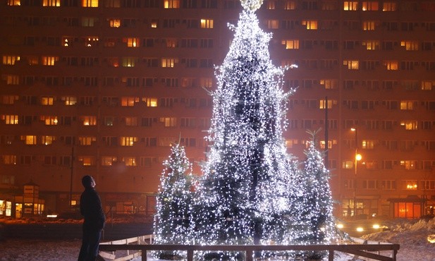 Choinka  przypomina rajskie drzewo życia
