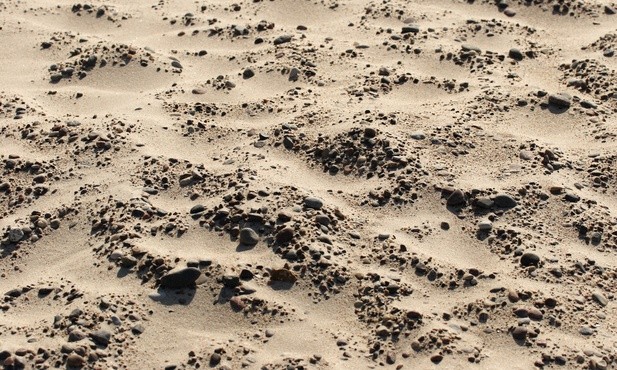 W Al-Faszir w Sudanie mogło zginąć nawet 60 tys. osób