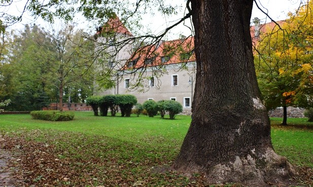 Bursztynowa Komnata w Pasłęku?