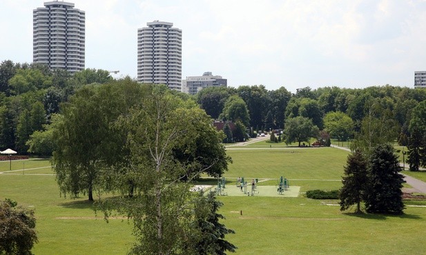 Park Śląski. Nie będzie wycinki 1300 drzew przyległych do parku