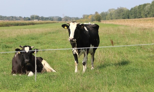 Baranów koło Grodziska Mazowieckiego