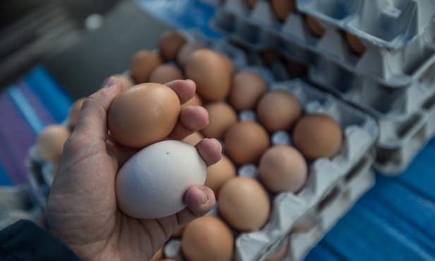 Jaja na unijnym rynku droższe od kurczaków