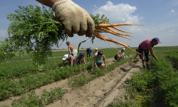 Dla rolników wsparcie zamiast odszkodowań