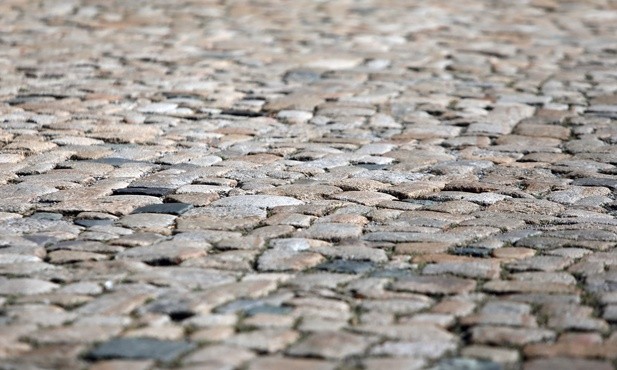 Miasta zapłacą podatek od betonu. Czy będzie więcej zieleni?