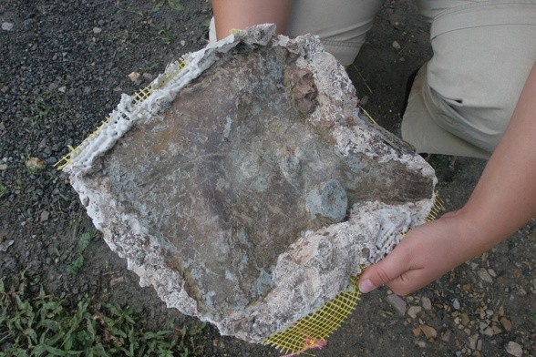 W poszukiwaniu prastarych szczątków