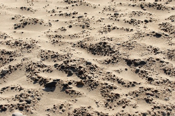 W Al-Faszir w Sudanie mogło zginąć nawet 60 tys. osób