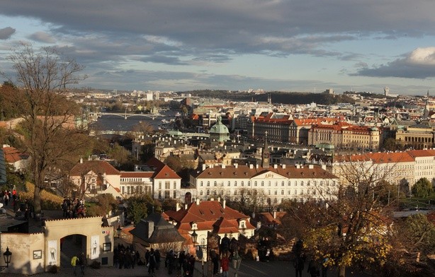 Czechy: Prezydent Zeman mianował premierem Petra Fialę 