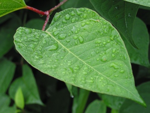 Bez wody nie ma życia