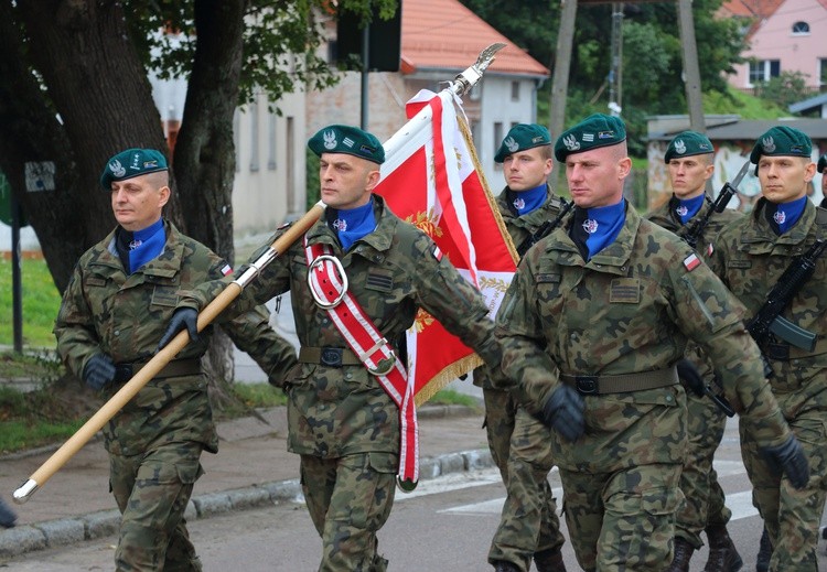 Dęby pamięci w Tolkmicku