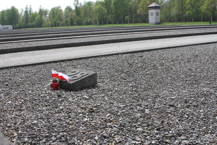 W Dachau
