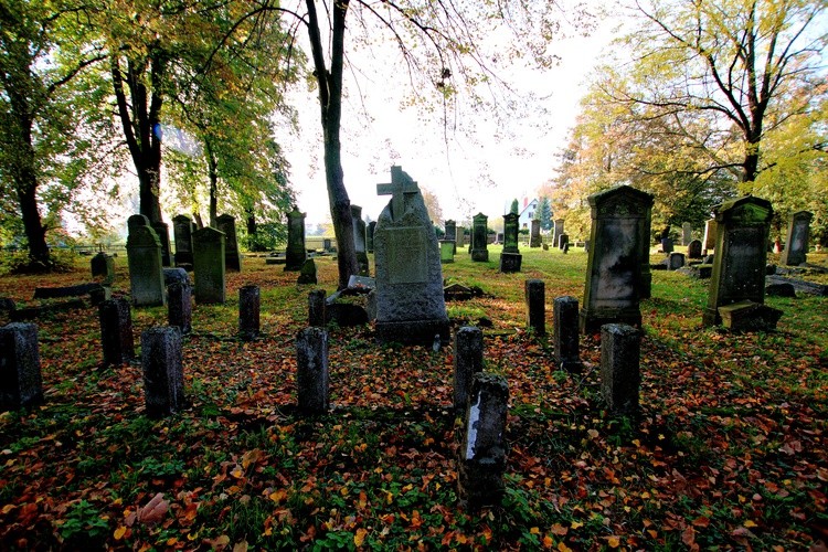 Stogi Malborskie - cmentarz mennonicki