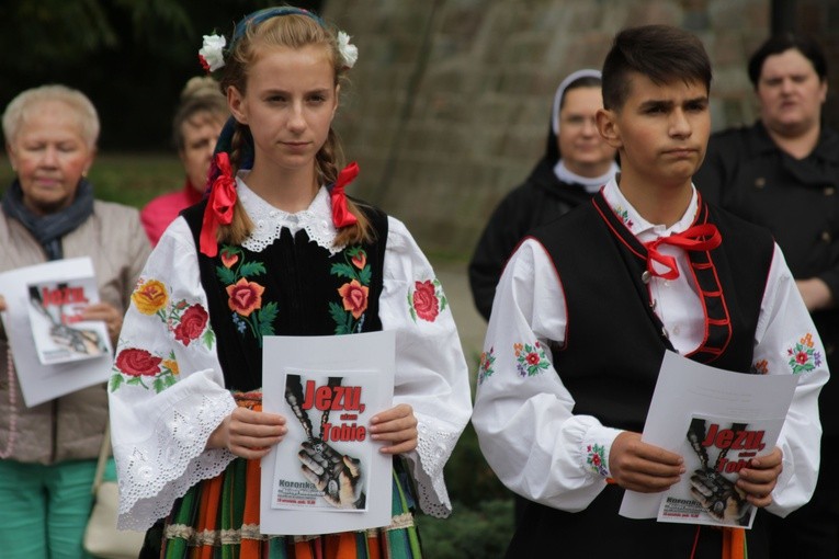 Koronka w Płocku