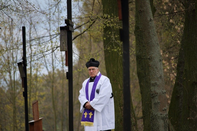 Święty Gaj - uroczystości odpustowe 