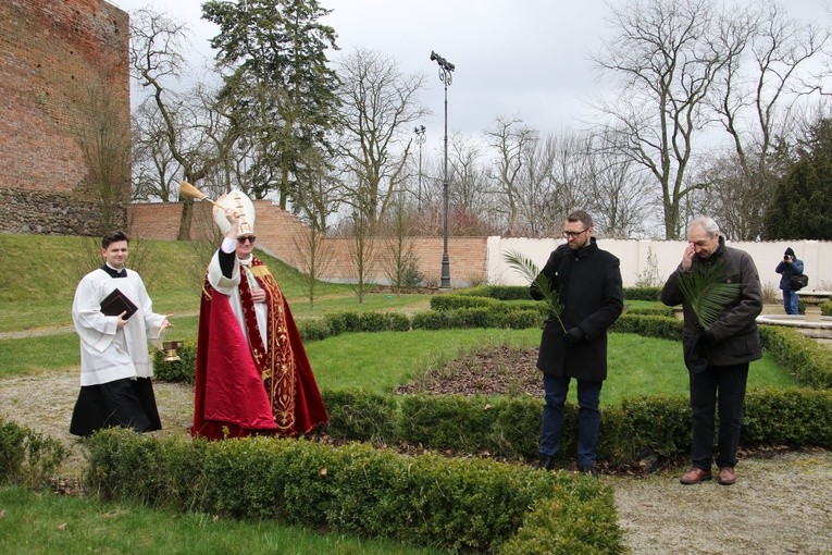 Płock. Niedziela Palmowa