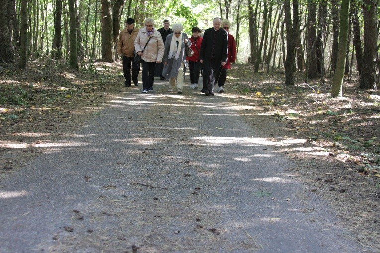 Pielgrzymka do Działdowa