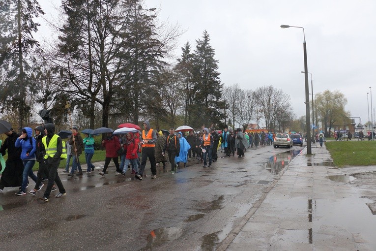 Pielgrzymka do Świętego Gaju