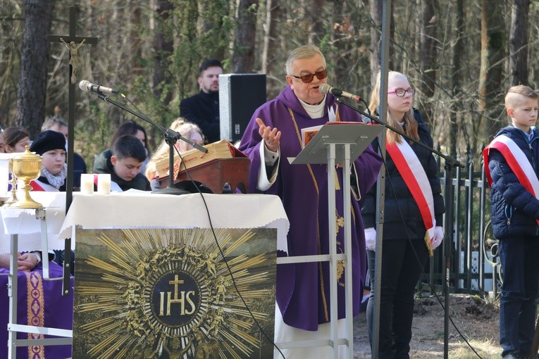 Uroczystości patriotyczne k. Radzanowa n. Wkrą