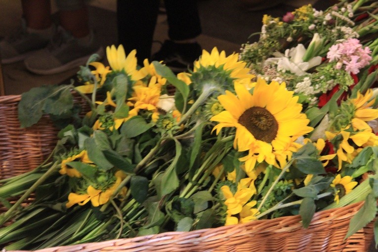 Pielgrzymka na Jasną Górę. U Matki