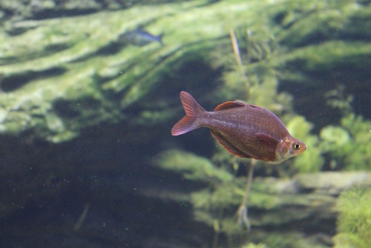 W płockim ZOO