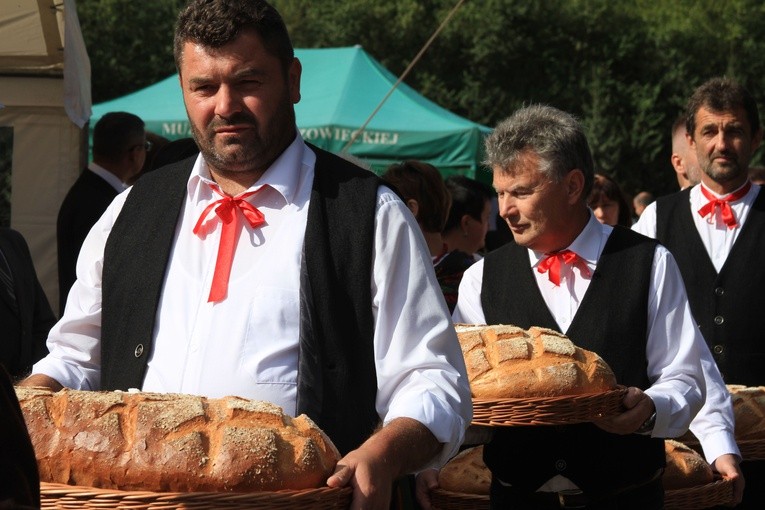 Dożynki w Sierpcu. Część 1