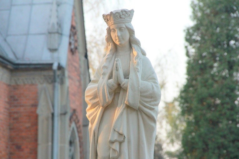Stary cmentarz w Dębicy