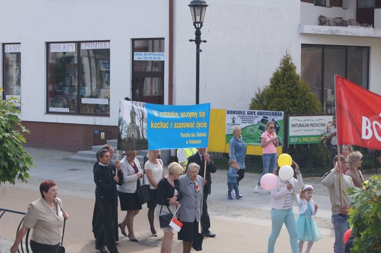 Marsz dla Życia i Rodziny w Ciechanowie 2015