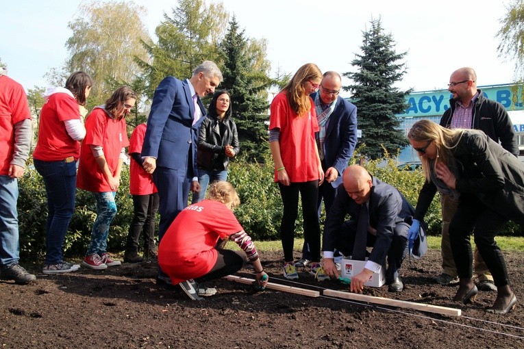Pola Nadziei w Płocku