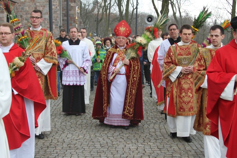Niedziela Palmowa w katedrze