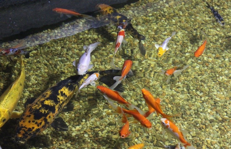 W płockim ZOO