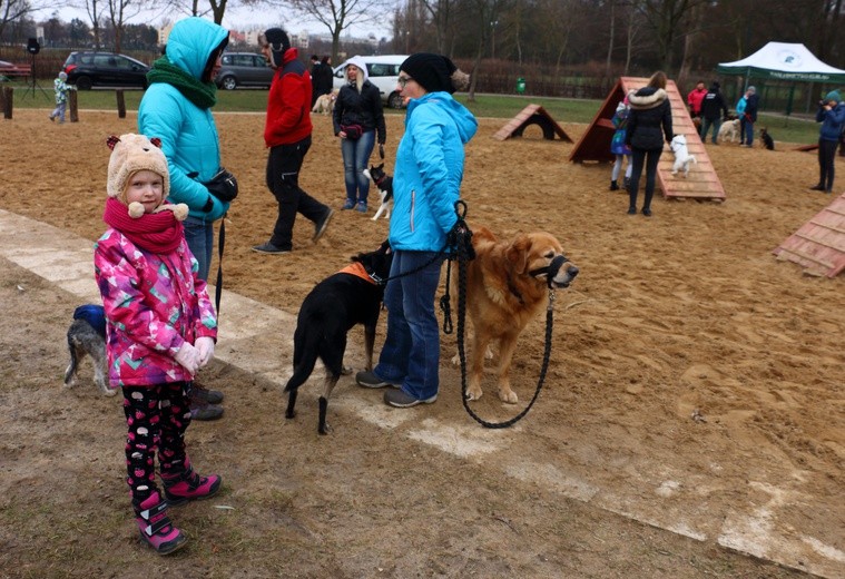 Park dla psów w Elblągu
