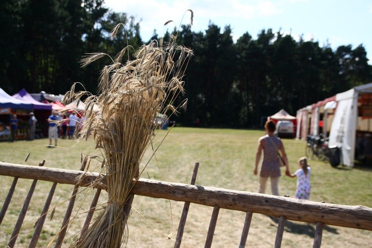 Strzebiń. VI święto chleba
