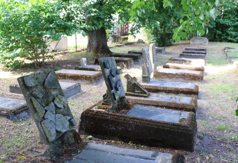 Otwarcie lapidarium w Rodowie