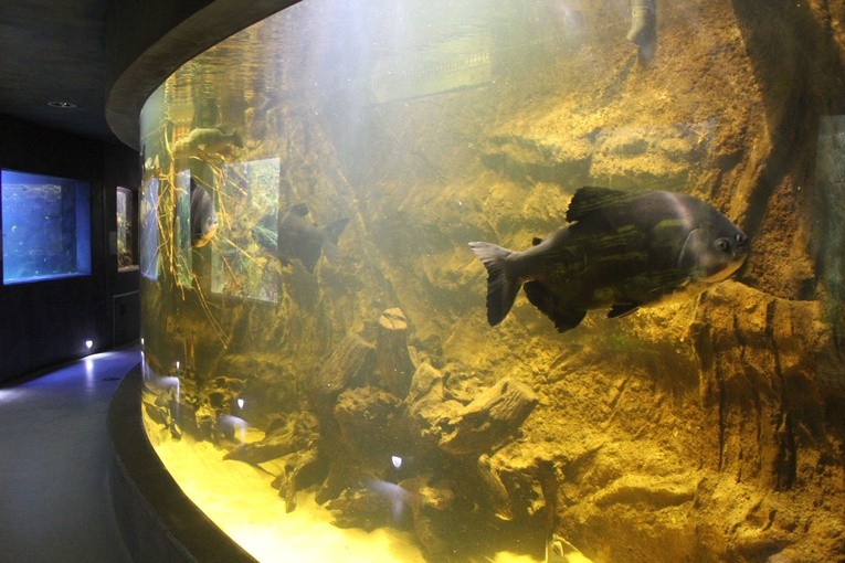 W płockim ZOO