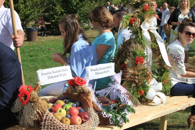 Dożynki w Sierpcu. Część 2