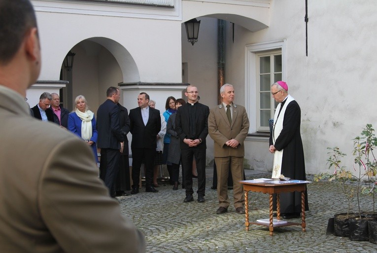 Dęby pamięci