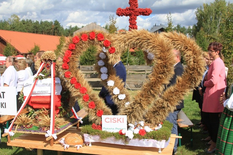 Dożynki w Sierpcu. Część 2