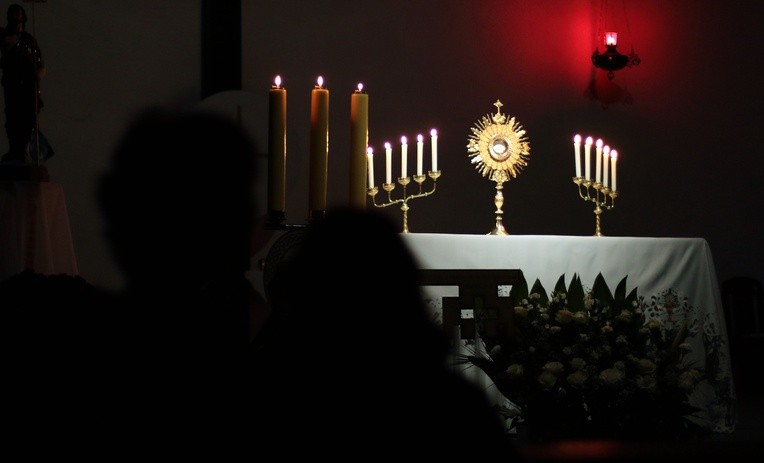Malbork. Czuwanie młodzieży diecezji elbląskiej 