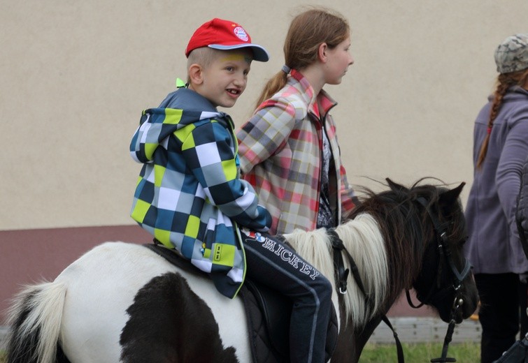 VI festyn "Zobacz Uśmiech"