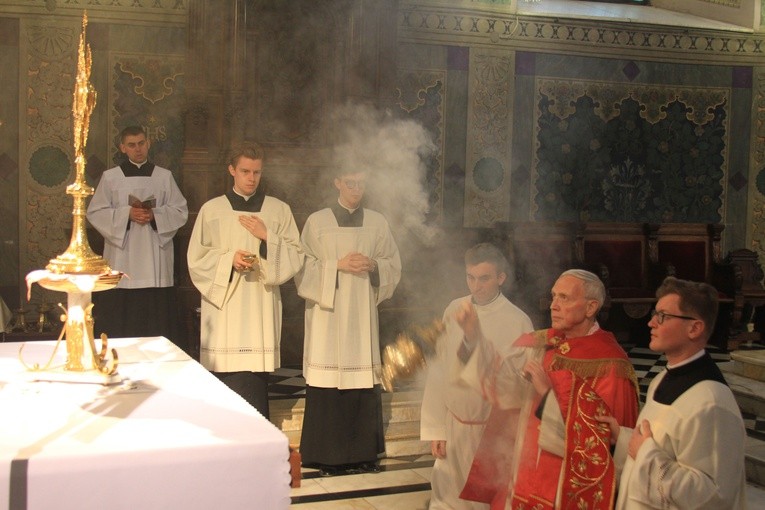 Płock. Uroczystości Zygmuntowskie