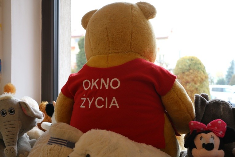 Płońsk. Okno życia