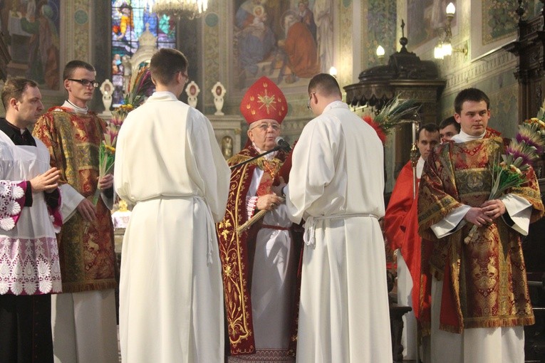 Niedziela Palmowa w katedrze