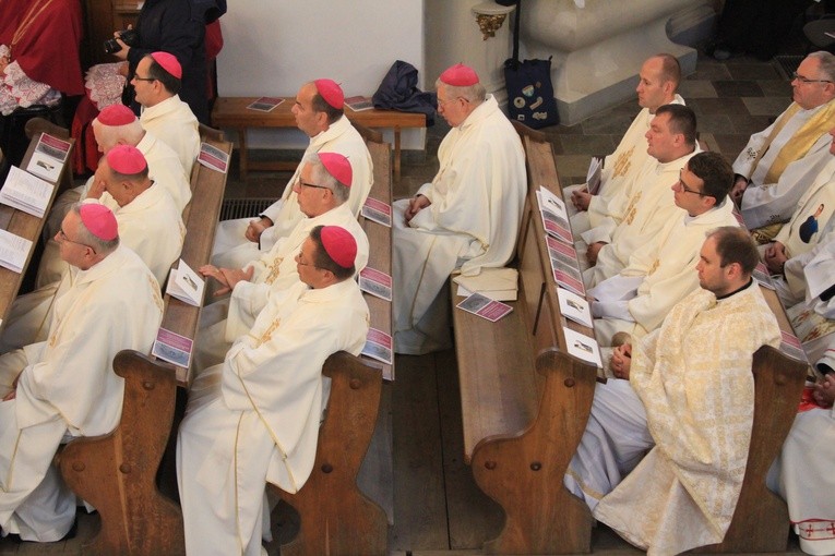 Episkopat w Płocku. Msza w kolegiacie