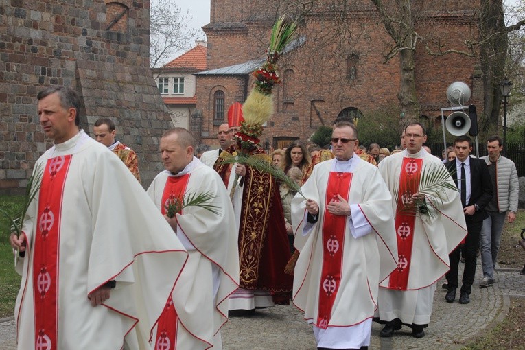 Niedziela Palmowa w katedrze