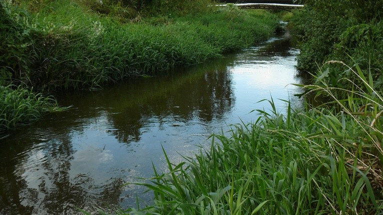 Stany ostrzegawcze przekroczone w 8 małopolskich rzekach. Skawinka w Radziszowie powyżej stanu alarmowego
