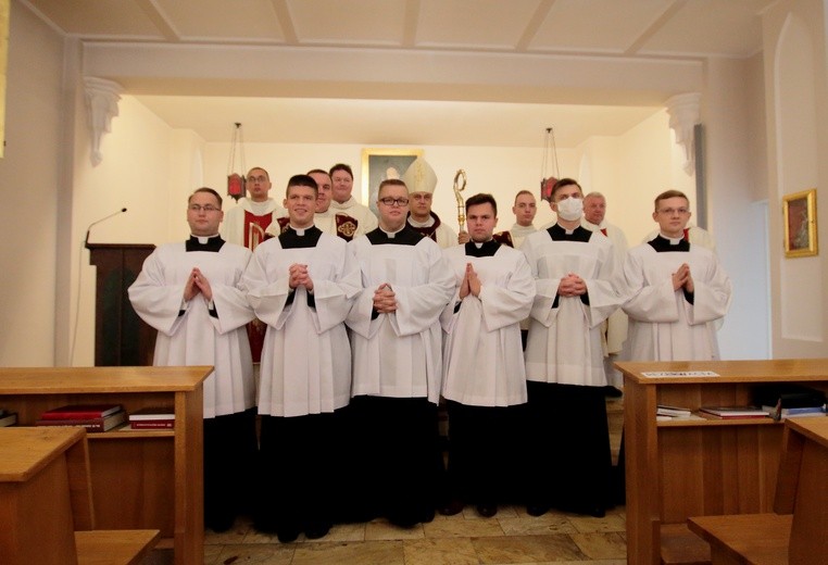 WSD - obłóczyny