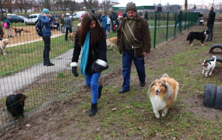 Park dla psów w Elblągu