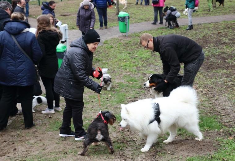 Park dla psów w Elblągu